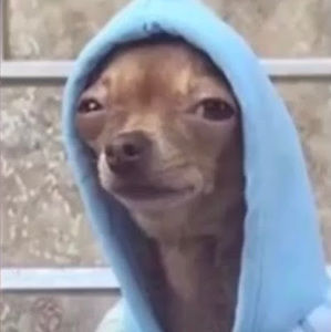 Meet your Posher, Steven